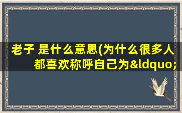 老子 是什么意思(为什么很多人都喜欢称呼自己为“老子”呢)